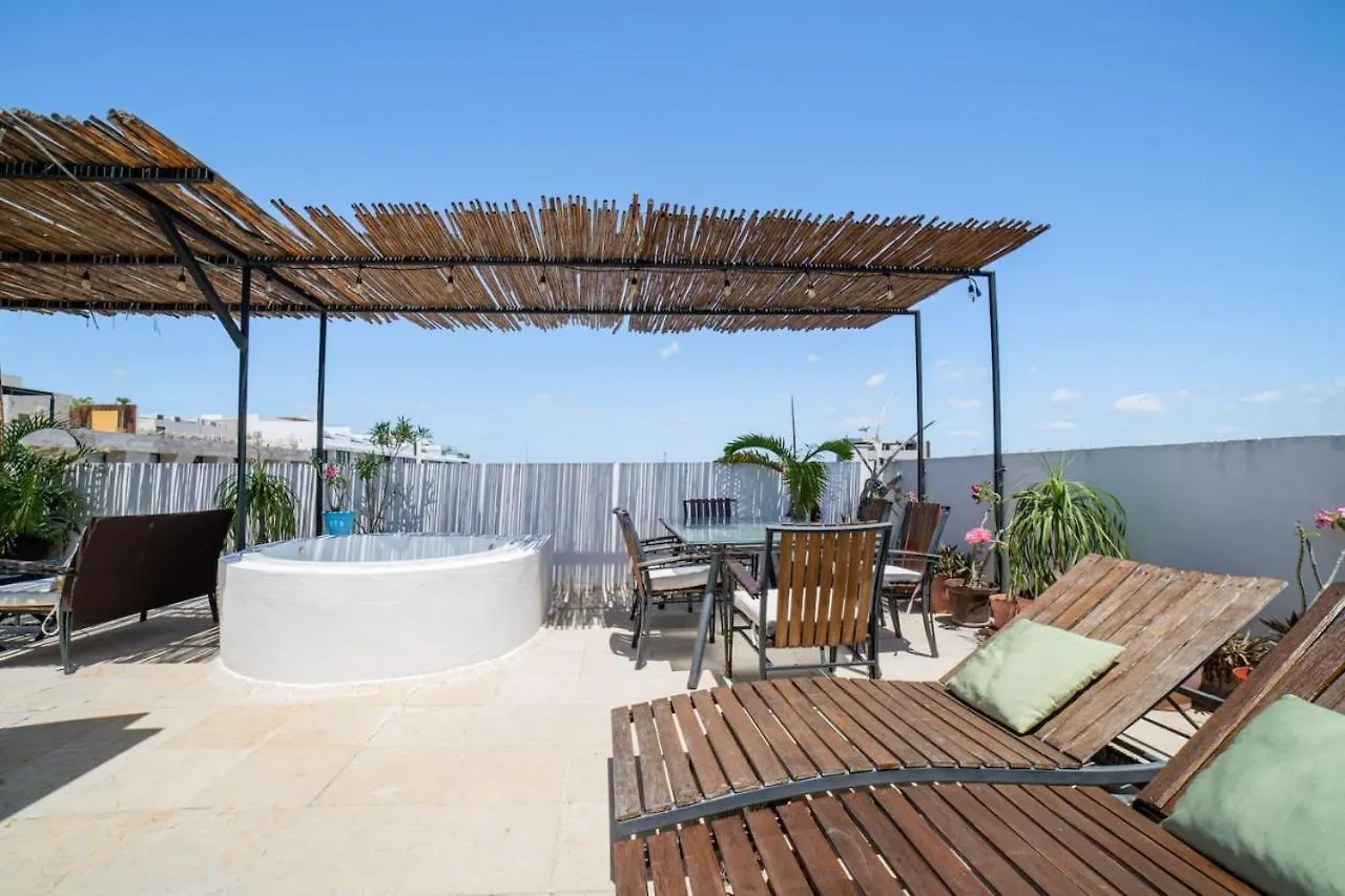 شقة Papaya 20 Super Central Ph 2 Bedroom With Private Rooftop - Jacuzzi بلايا ديل كارمن