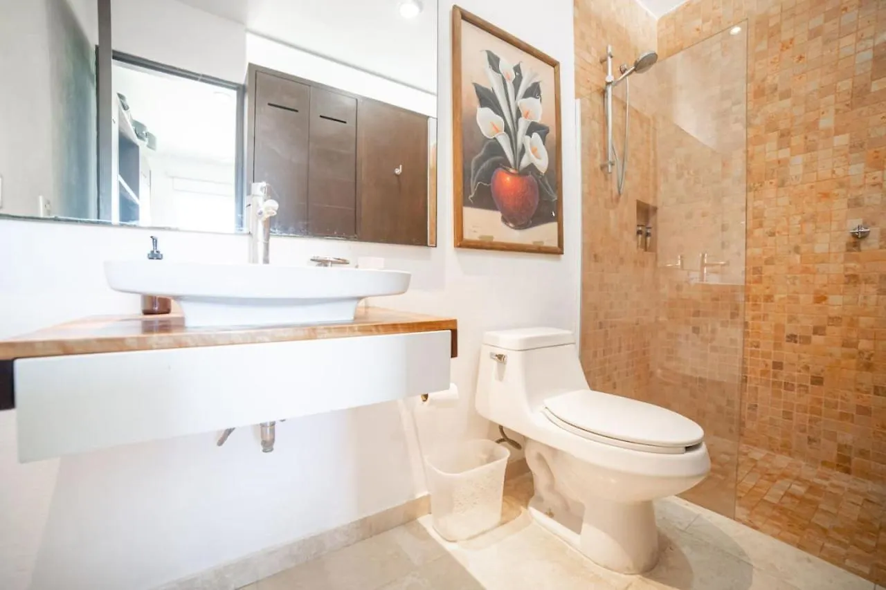 شقة Papaya 20 Super Central Ph 2 Bedroom With Private Rooftop - Jacuzzi بلايا ديل كارمن