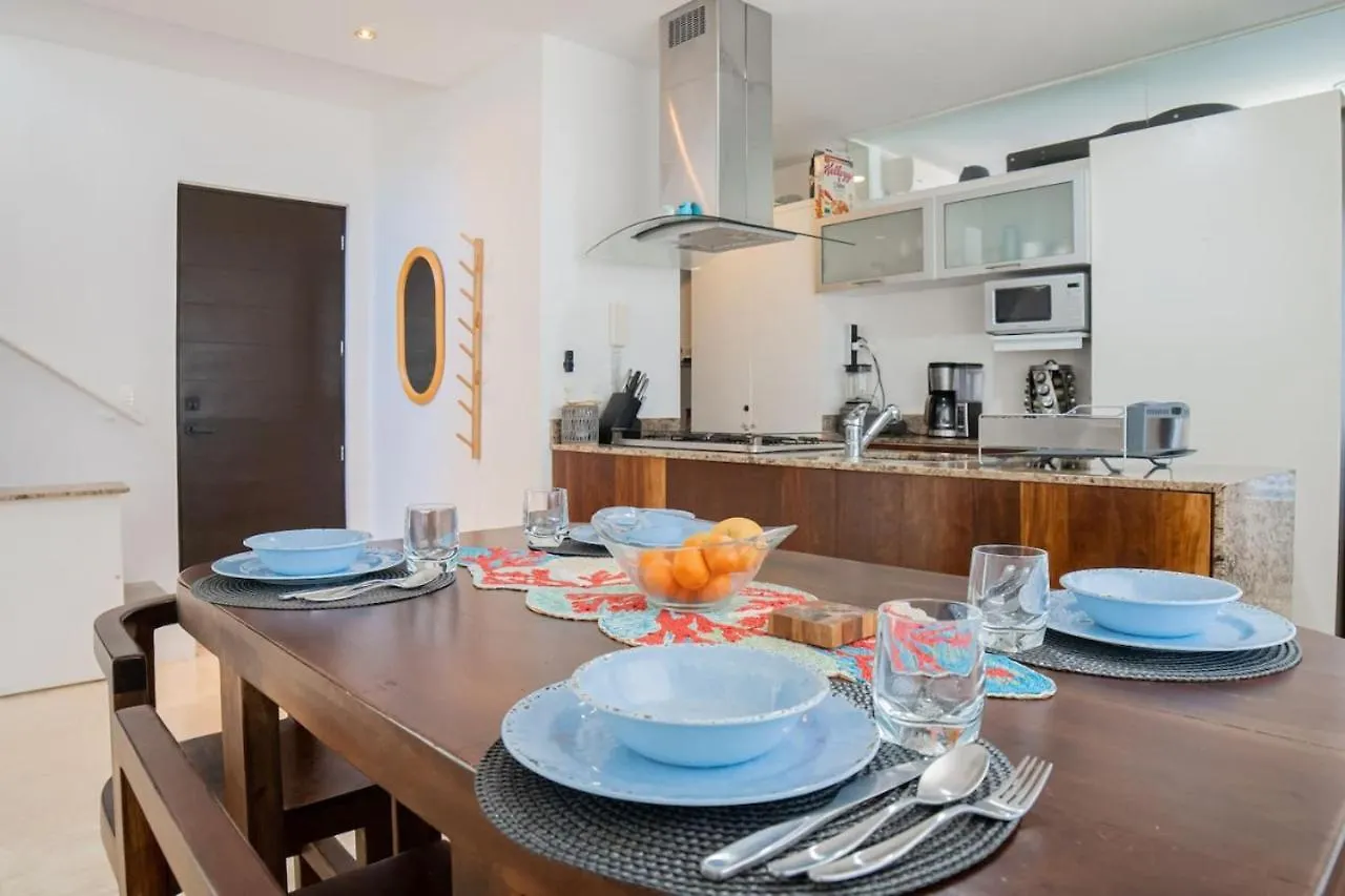 Papaya 20 Super Central Ph 2 Bedroom With Private Rooftop - Jacuzzi بلايا ديل كارمن 0*,