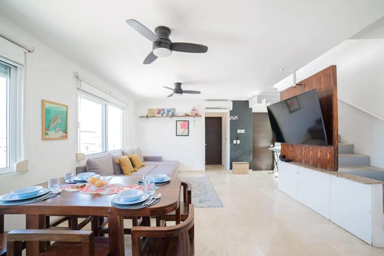 شقة Papaya 20 Super Central Ph 2 Bedroom With Private Rooftop - Jacuzzi بلايا ديل كارمن
