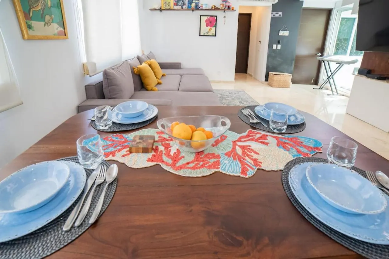 Papaya 20 Super Central Ph 2 Bedroom With Private Rooftop - Jacuzzi بلايا ديل كارمن 0*,