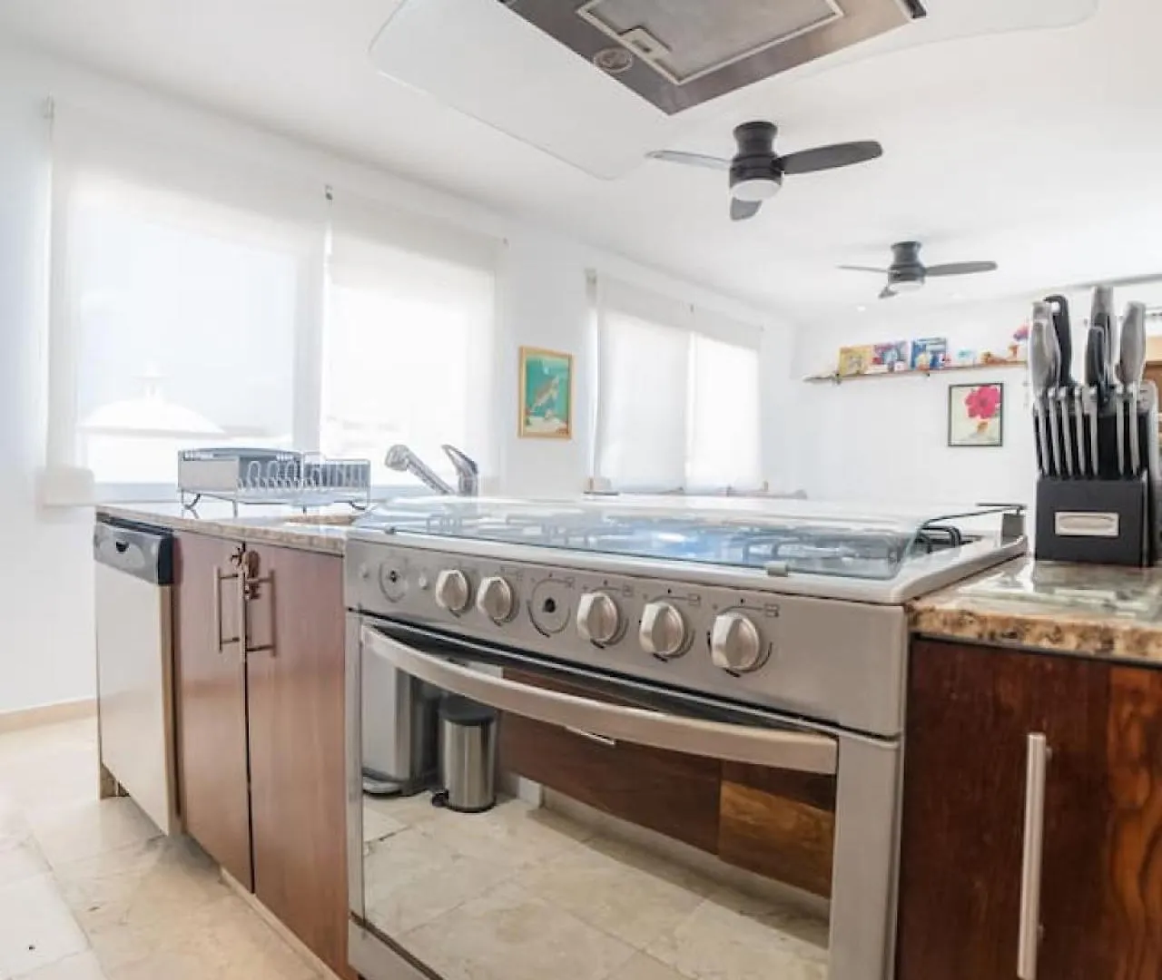 Papaya 20 Super Central Ph 2 Bedroom With Private Rooftop - Jacuzzi Playa del Carmen 0*,  Mexico